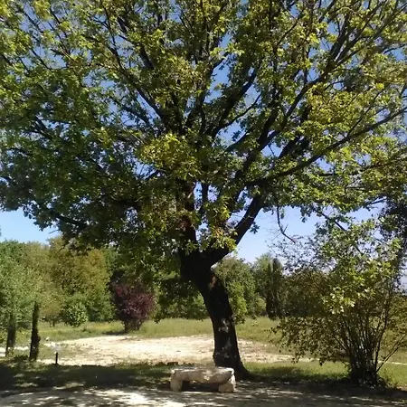 Alloggio per agriturismo Casina Di Pietra *